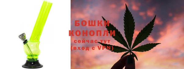 прущая мука Бородино