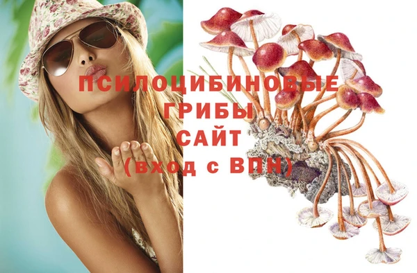 тгк Бронницы