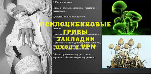 прущая мука Бородино