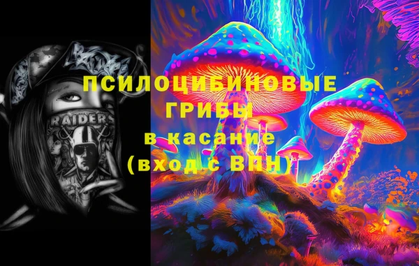 прущая мука Бородино