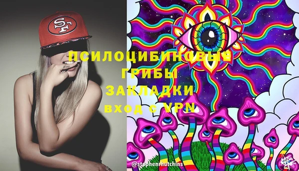 тгк Бронницы