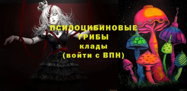 тгк Бронницы