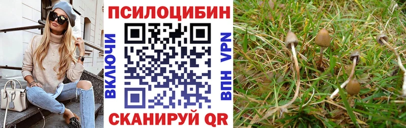 Псилоцибиновые грибы GOLDEN TEACHER  что такое наркотик  Новая Усмань 